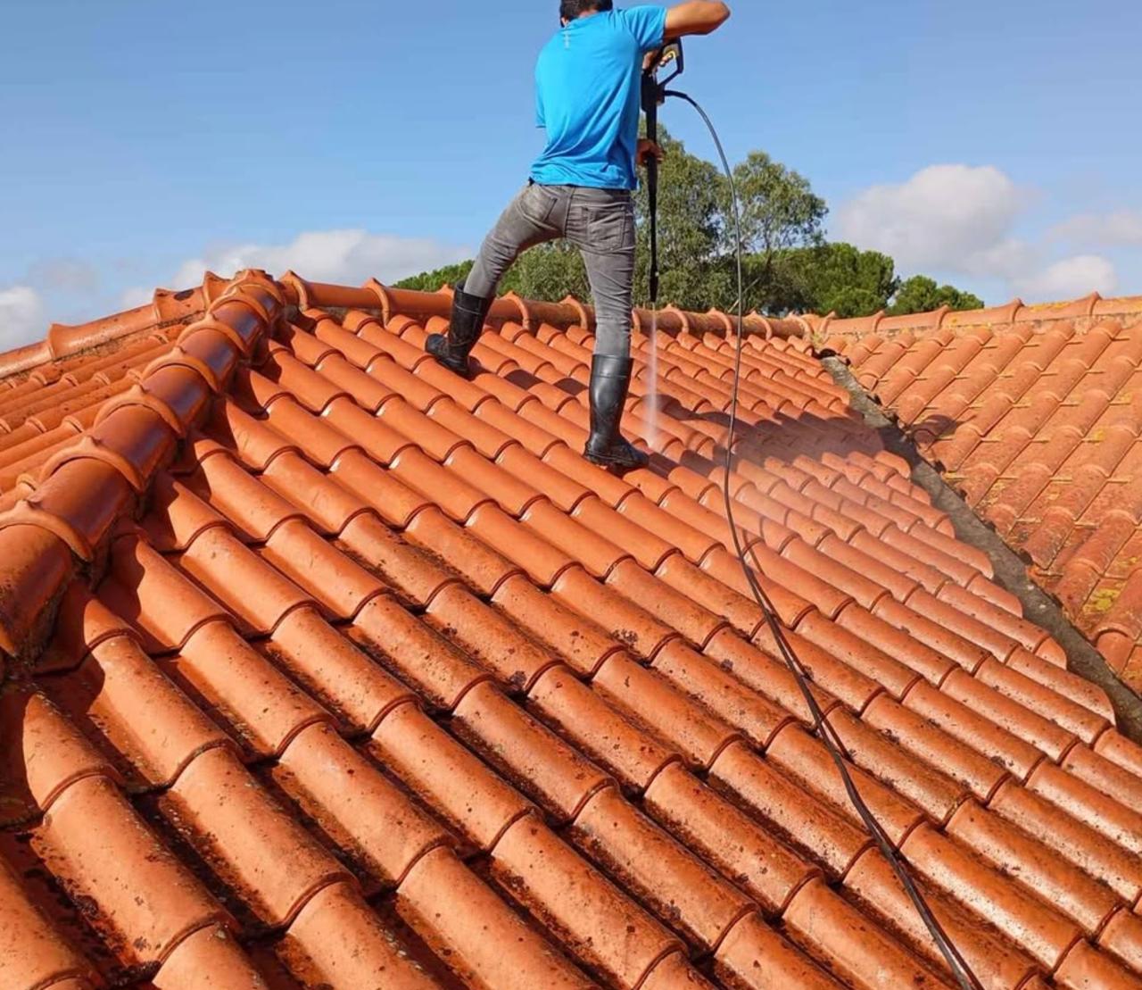 Roof cleaning